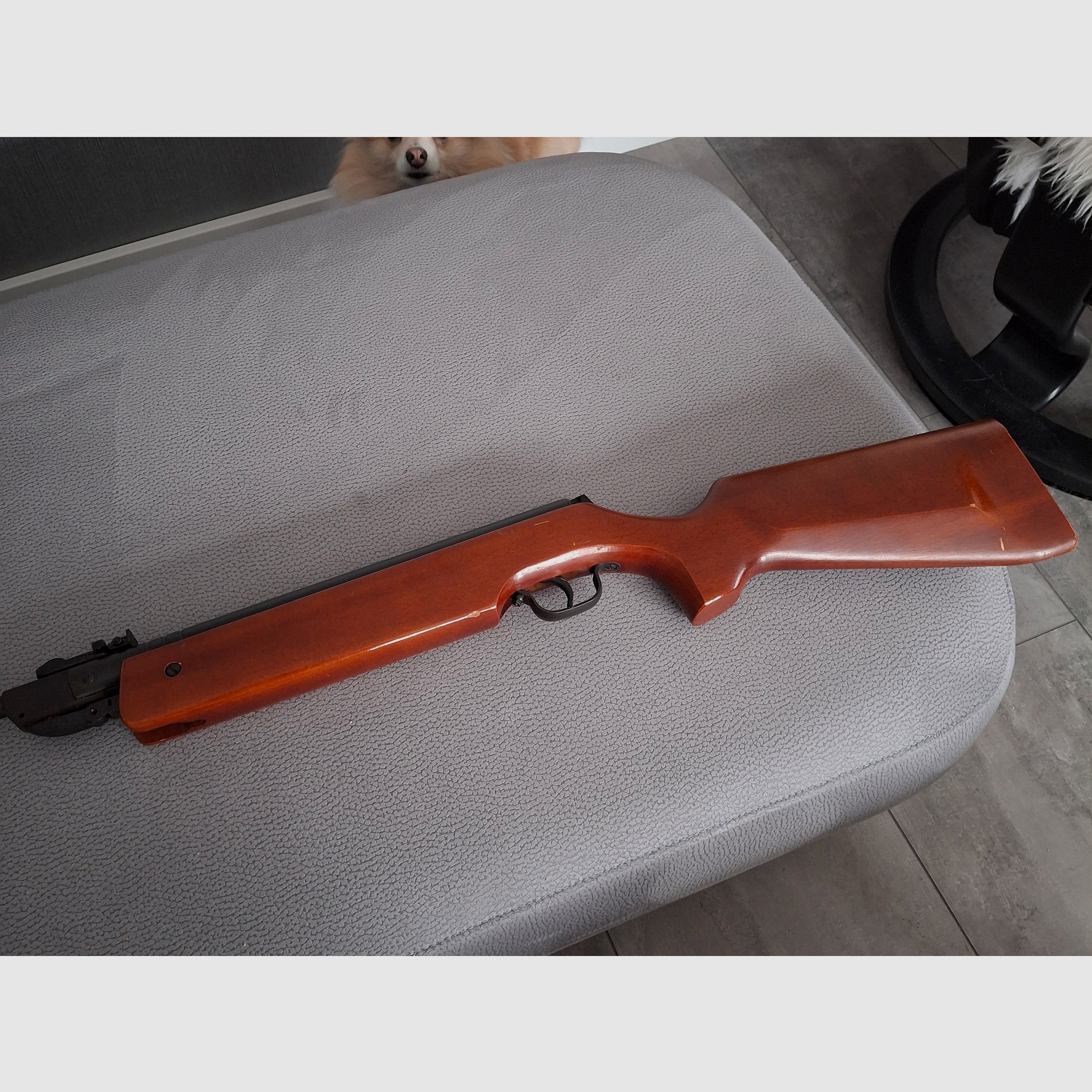 Air rifle Diabolo 4.5 HAENEL 303 Suhl
