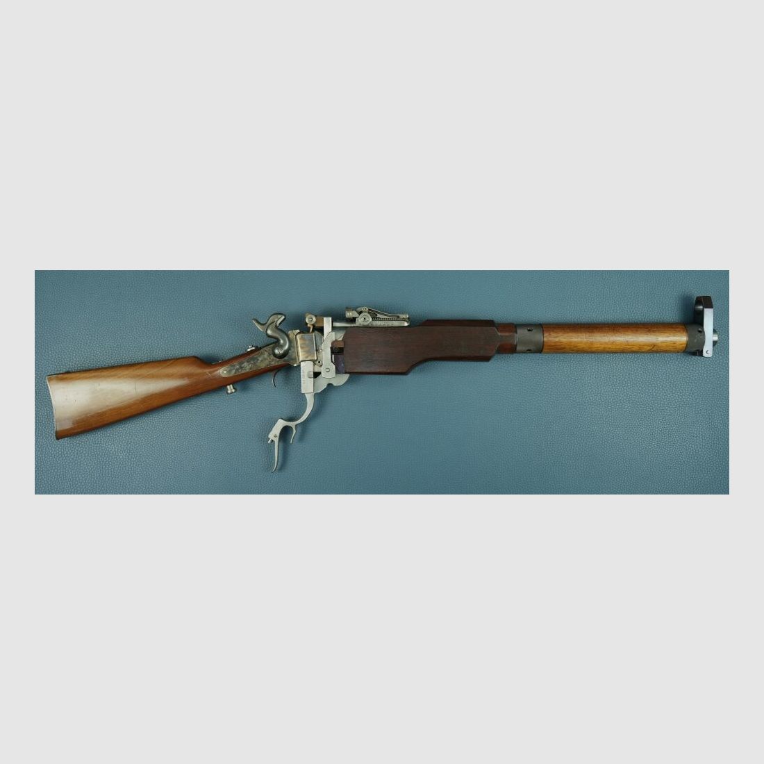 Klaus Wich Sharps .505Gibbs