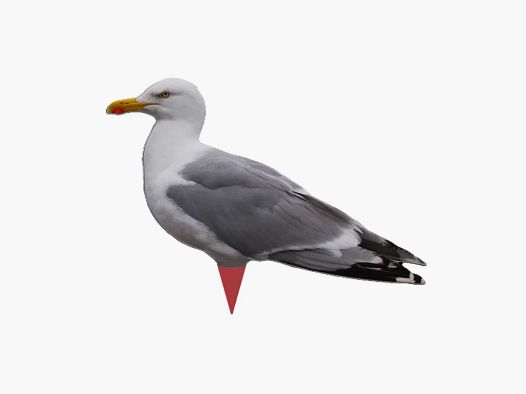 Silhouette-Lockvogel „Möwe“, 2er-Pack – Lockvogel