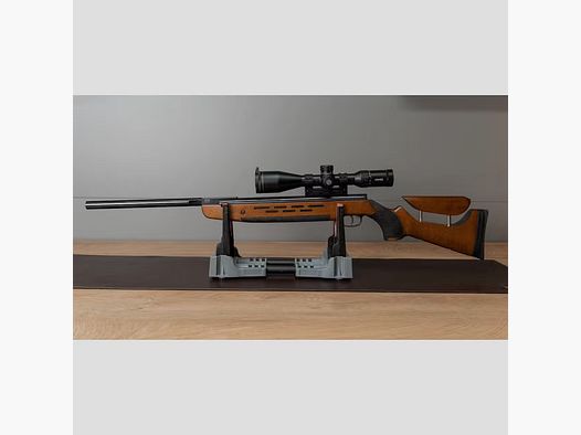 Weihrauch HW98 mit Hawk Airmax Compact 6-24 und Sports Match UK AOP 56 Montage
