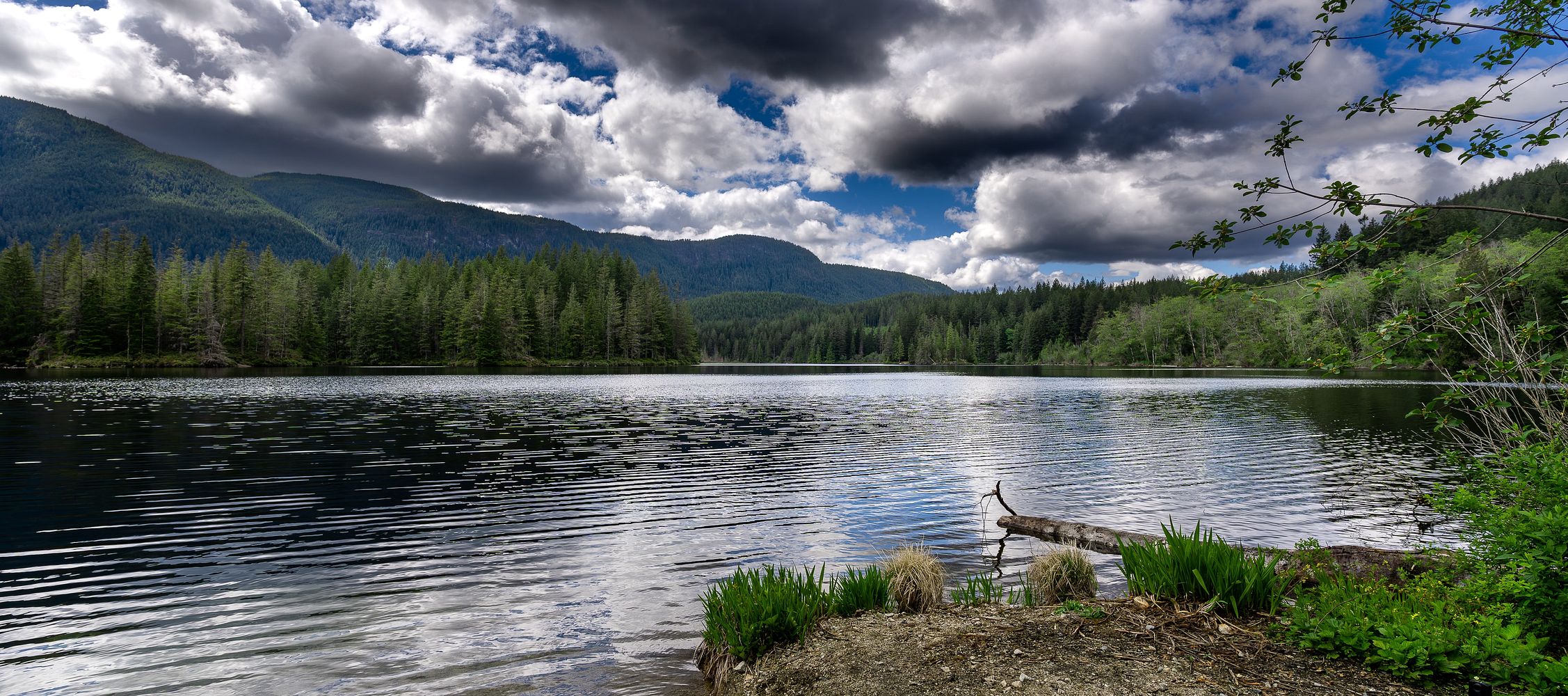 How to Deal with Weather Changes While Fishing: A Beginner's Guide