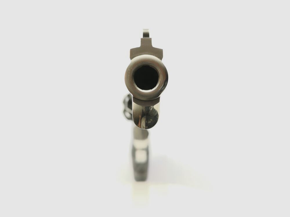 Taurus 44
