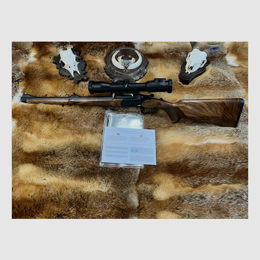 Blaser K95