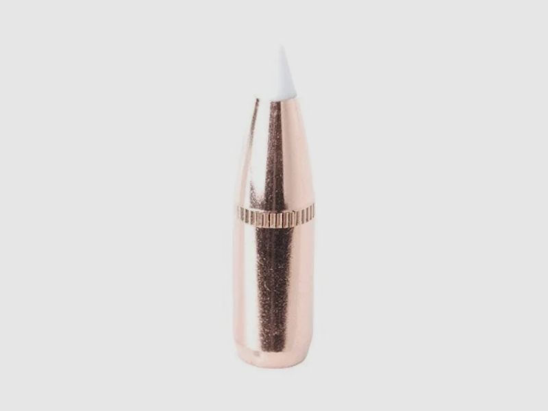 Nosler Geschoss Accubond .270/.277 110GR Spitzer 50 Stück