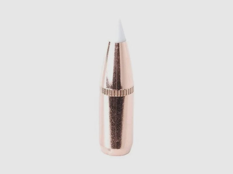 Nosler bullet Accubond .270/.277 110GR pointed 50 pieces