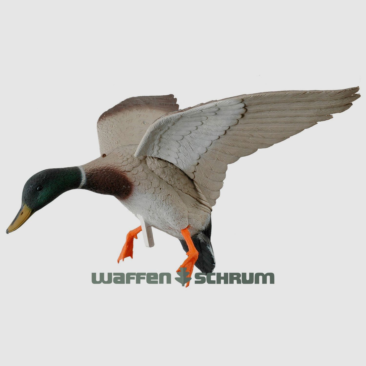 Canard avec des ailes en approche d'atterrissage