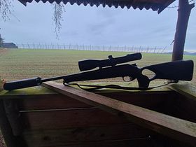 Blaser R8 Professional Success