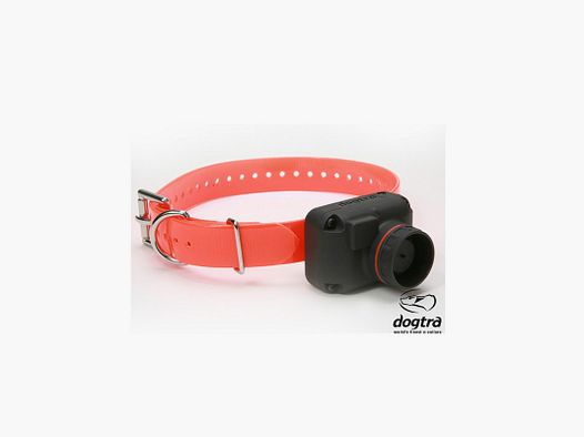COLLIER REPERAGE STB HAWK - Dogtra