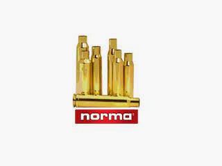 PATRONEN Kal.10 mm 170 HOLLOW POINT 20 St.