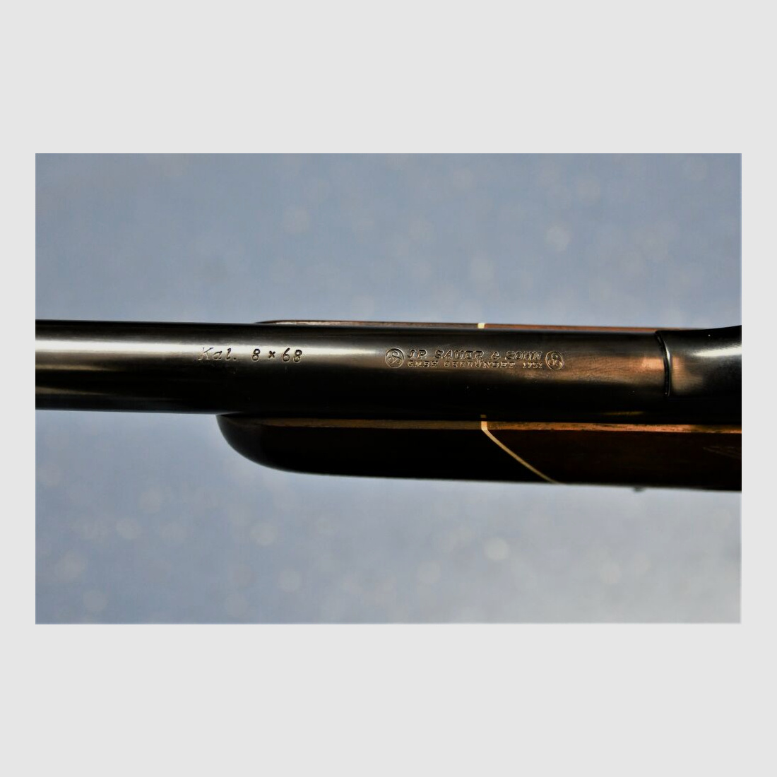 Sauer & Sohn mit Meopta ZF und EAW Montage	 Sauer 80