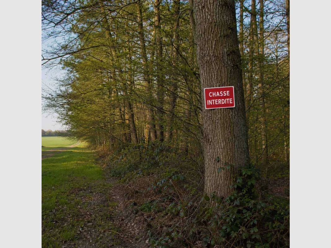 Verbodsbord Jacht verboden aluminium 30 × 20 cm, afbeelding 3 van 10