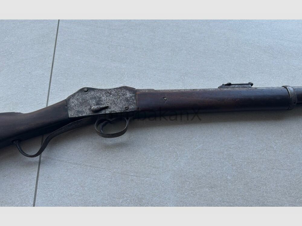 Enfield Bj. 1875 (vermutlich) .445SuperMag