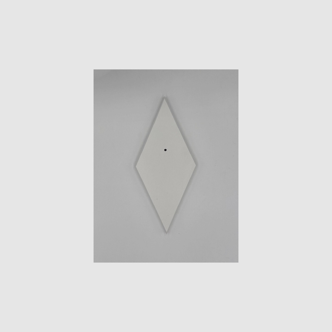 Gehörnbrett - Trophäenbrett Reh Waldemar - Farbe schwarz, grau oder weiß 