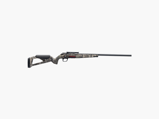 Winchester Xpert Compo Strata Filetiert .22LR