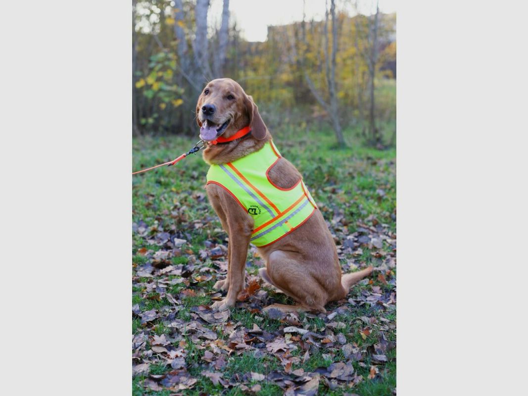 Farm-Land Hunde Reflektorweste