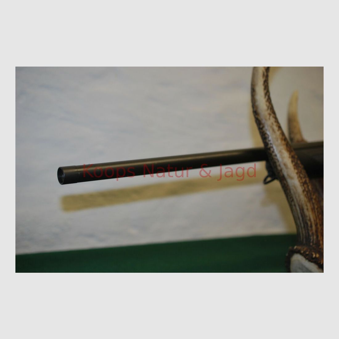 Sauer & Sohn 404 Classic XT