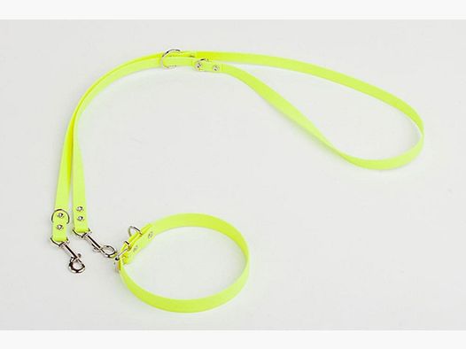 Ligne de conduite domestique en Biothane avec collier