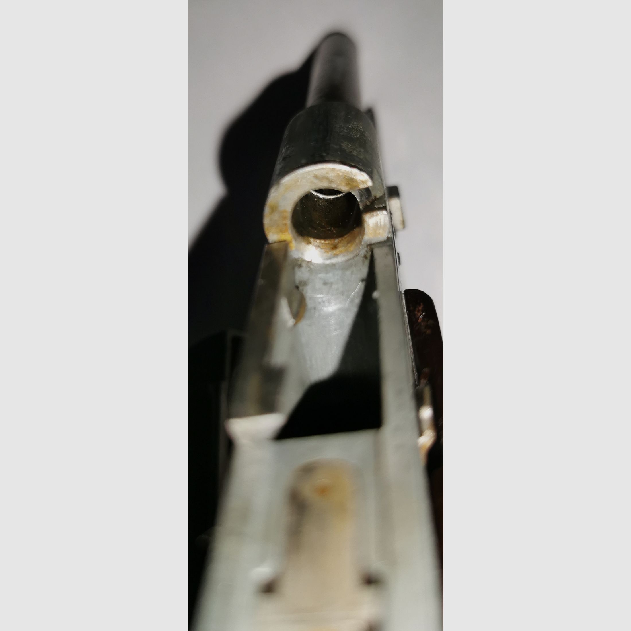 Un golpe de suerte para los coleccionistas