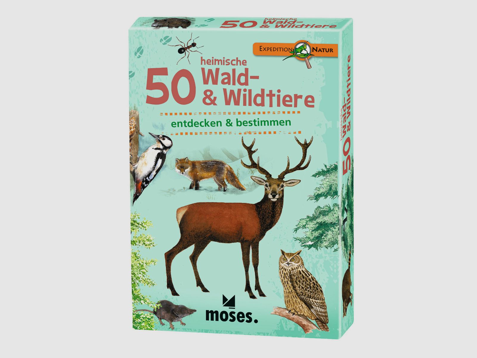 Moses Kartenspiel 50 heimische Wald- & Wildtiere