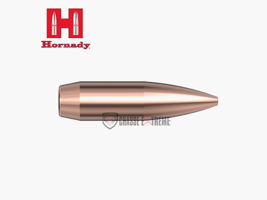 500 Ogives HORNADY 22 Cal 224 69gr Hpbt