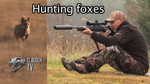 Hunting foxes by Kristoffer Clausen