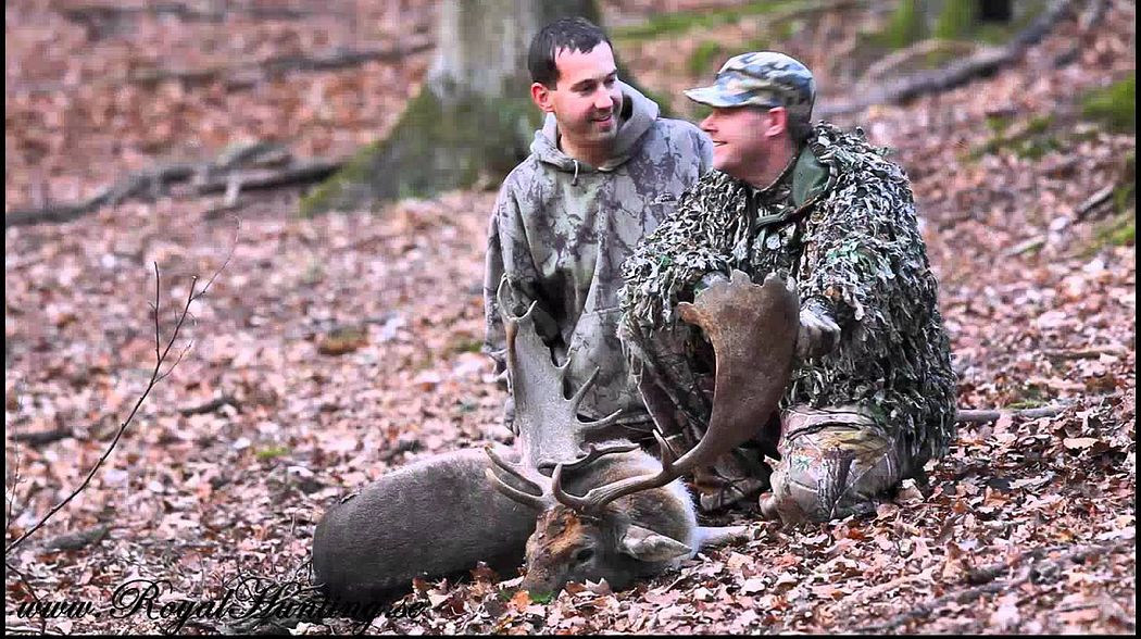 Fallow Deer 206p cic Big Gold Damm Hirsche Dov Hjort Skovel