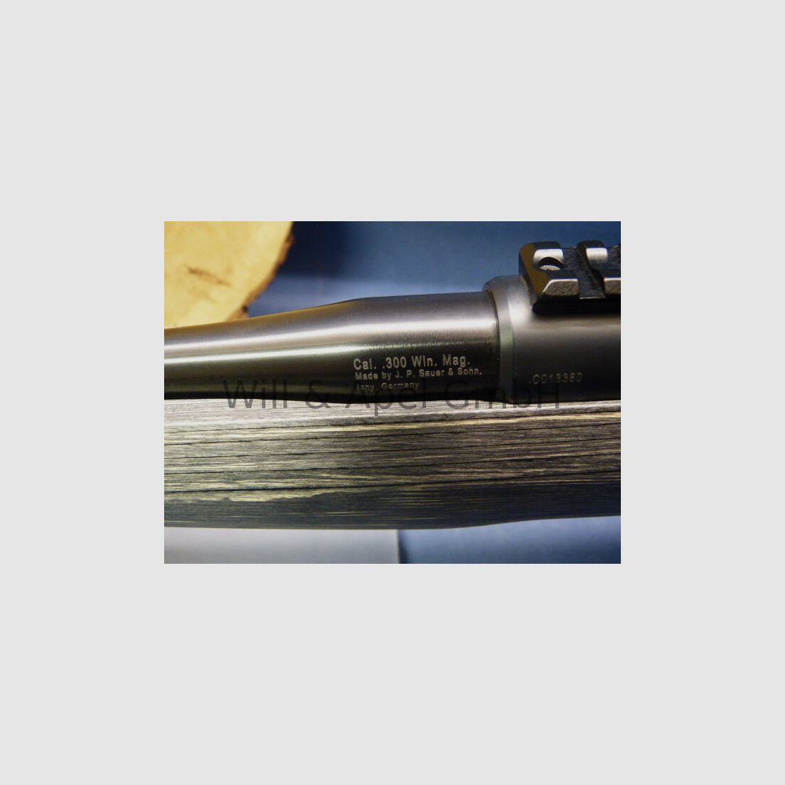 Sauer & Sohn Sauer 100