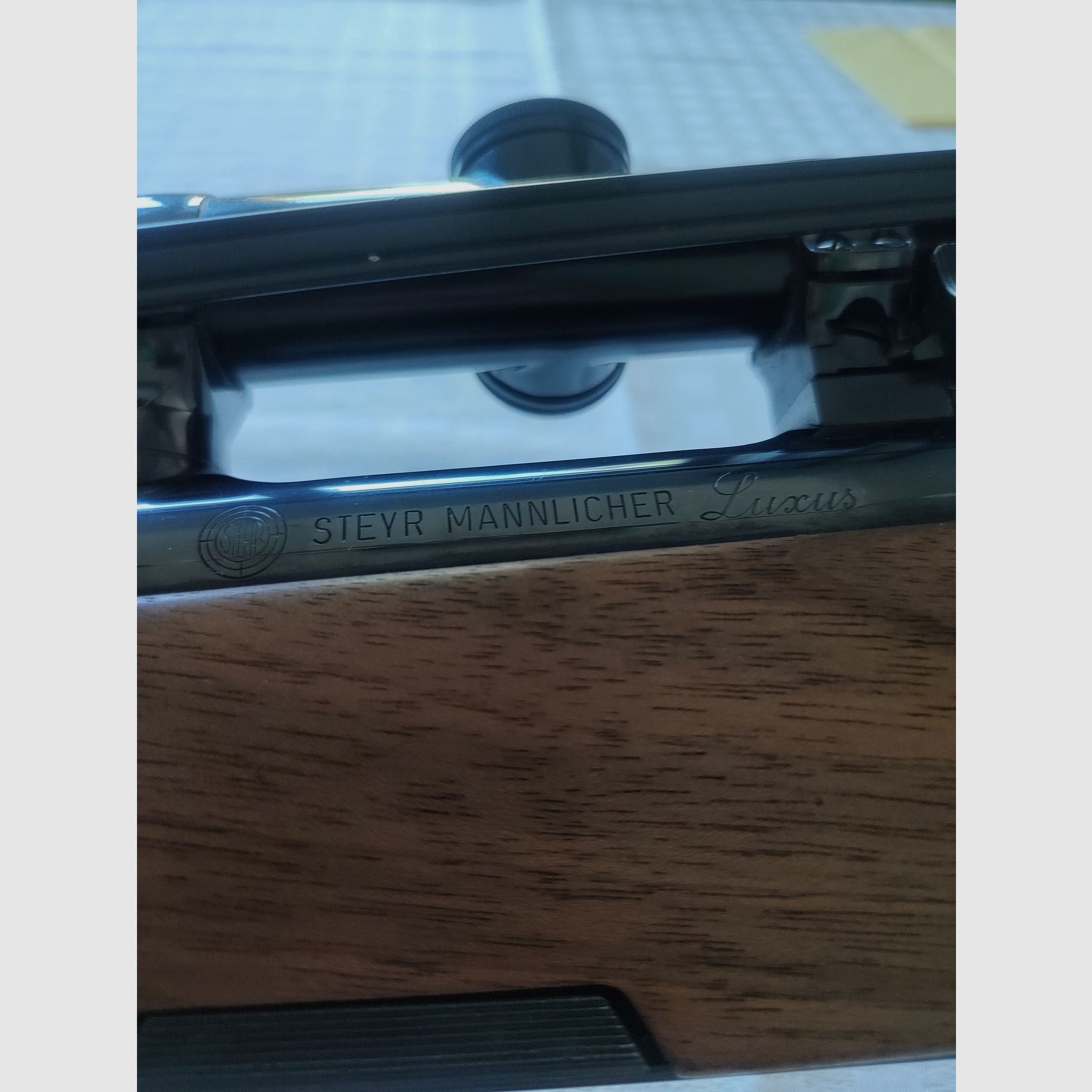 Steyr Mnanlicher Luxus 