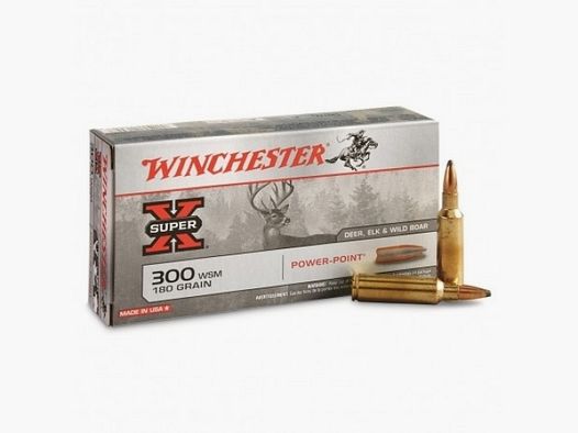 300 WSM WINCHESTER POWER POINT 180 GRAINS
