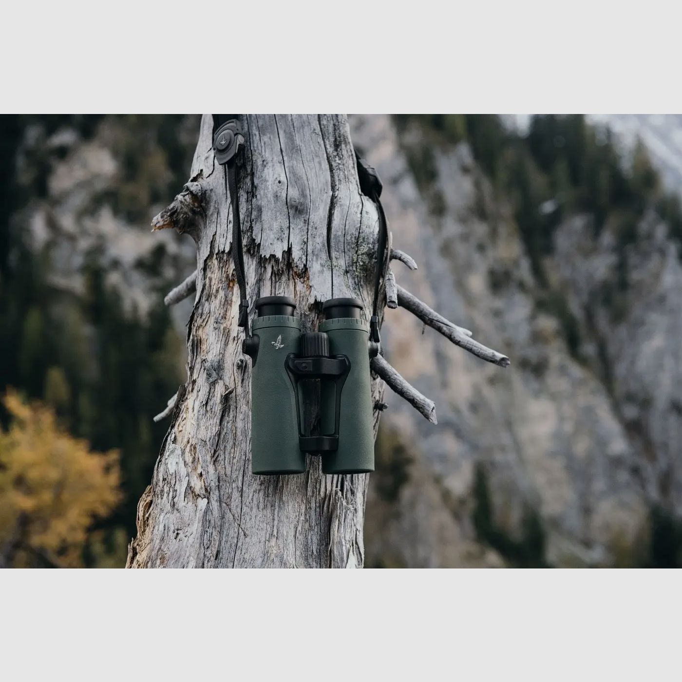 Swarovski Fernglas EL Range 10x42