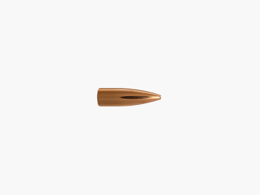 Berger Geschoss .22 FB Target 55GR 100 Stück