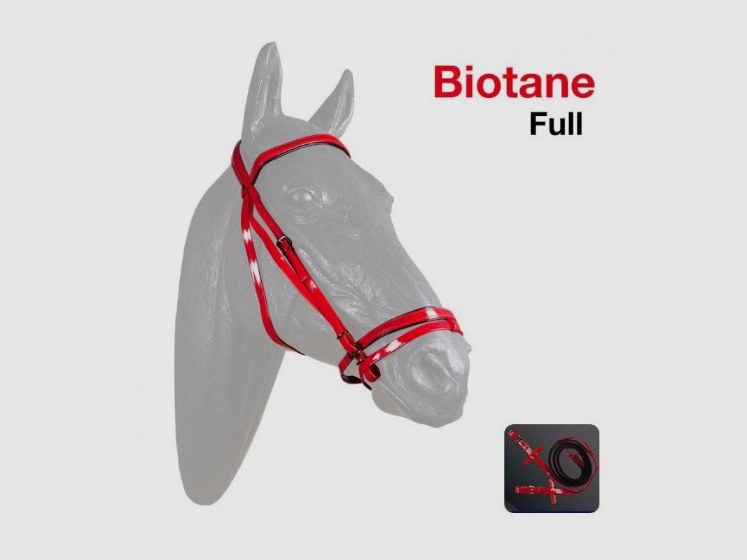 Biothane Volle Hoofdstel 302 Rood/Zwart