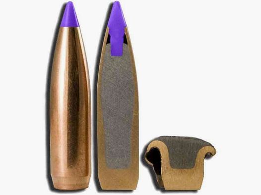 Nosler Ballistic Tip Geschosse Kaliber .243 (6mm) – 90 grains