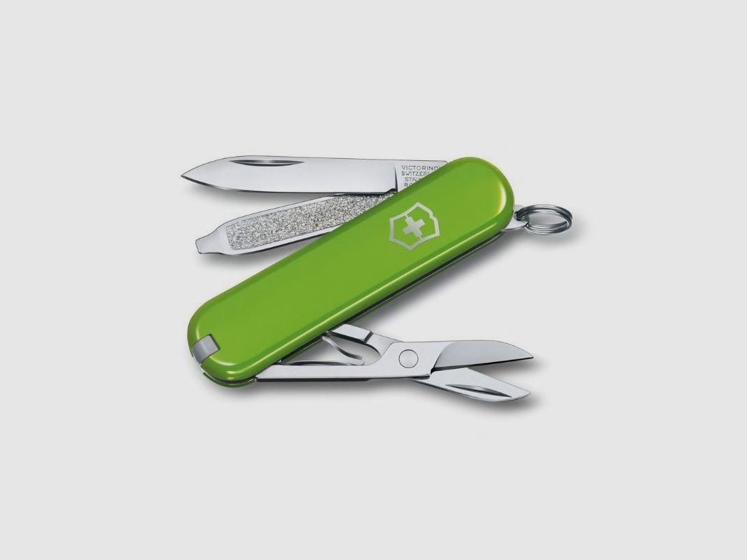 Victorinox Multiuso Classic SD - Zerschlagenes Avocado