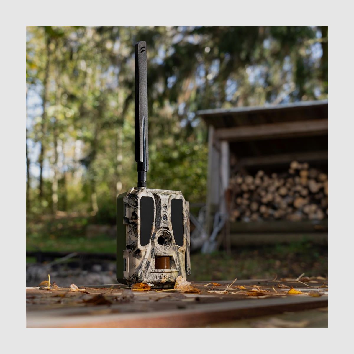 DÖRR Überwachungskamera SNAPSHOT CLOUD PRO 4G WA