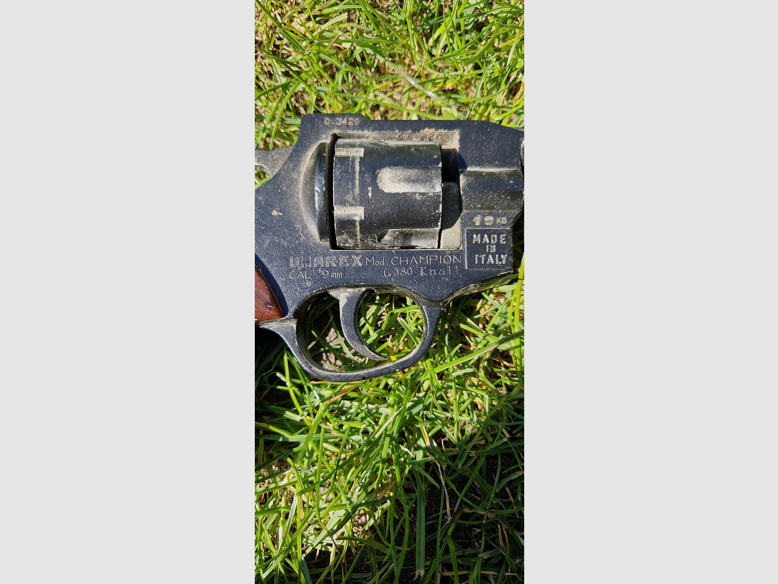 Umarex Model Champion