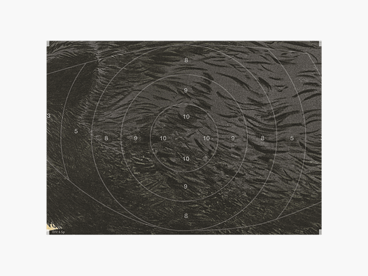 Miroir pour cible sauvage DJV n° 6 (Fugitif à gauche, 60m)
