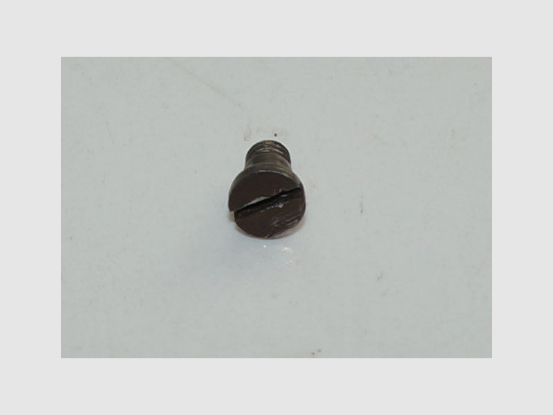 Bern Armory Used Trigger Spring Screw for Swiss Service Revolver 1882