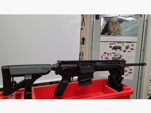 Sig Sauer 716 Patrol