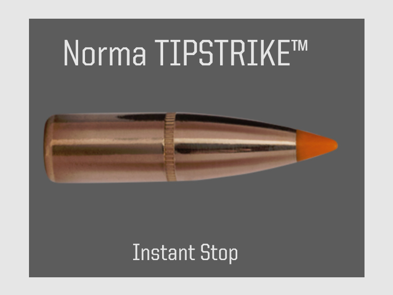 100 Stück NEUE NORMA Geschosse TIPSTRIKE 7MM .284 160gr 10,4g #20670141 Hohe Durchlagskraft u. Stopp