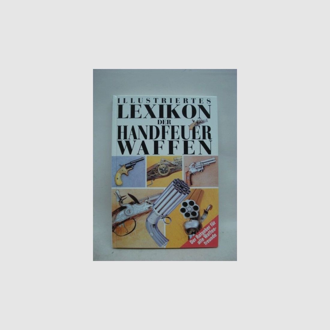 Fritzmann Buch Illustriertes Lexikon