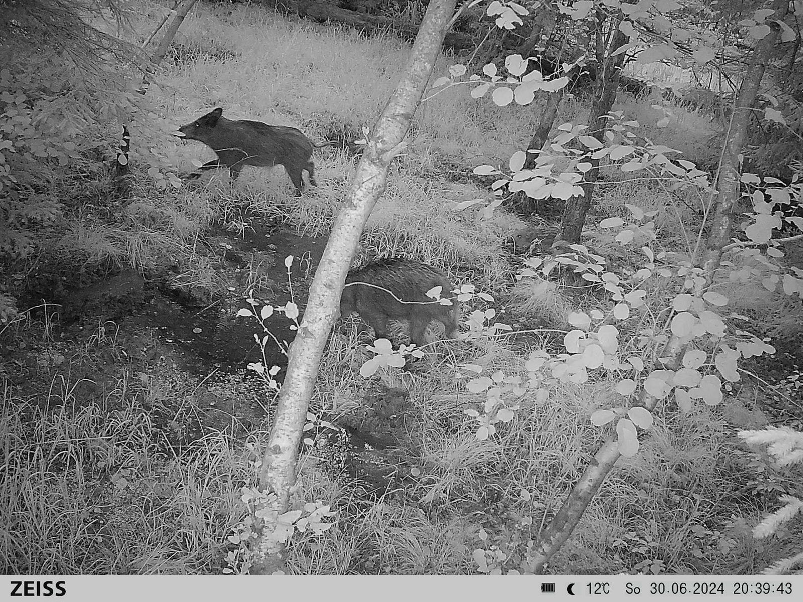 Zeiss Secacam 7