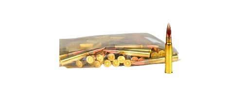 Prvi Partizan PPU .303 British Vollmantel 174 grs 100 Schuss