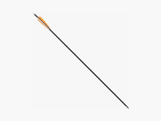 Haller Carbon Flèche Longueur 30" Ensemble de 10 pièces