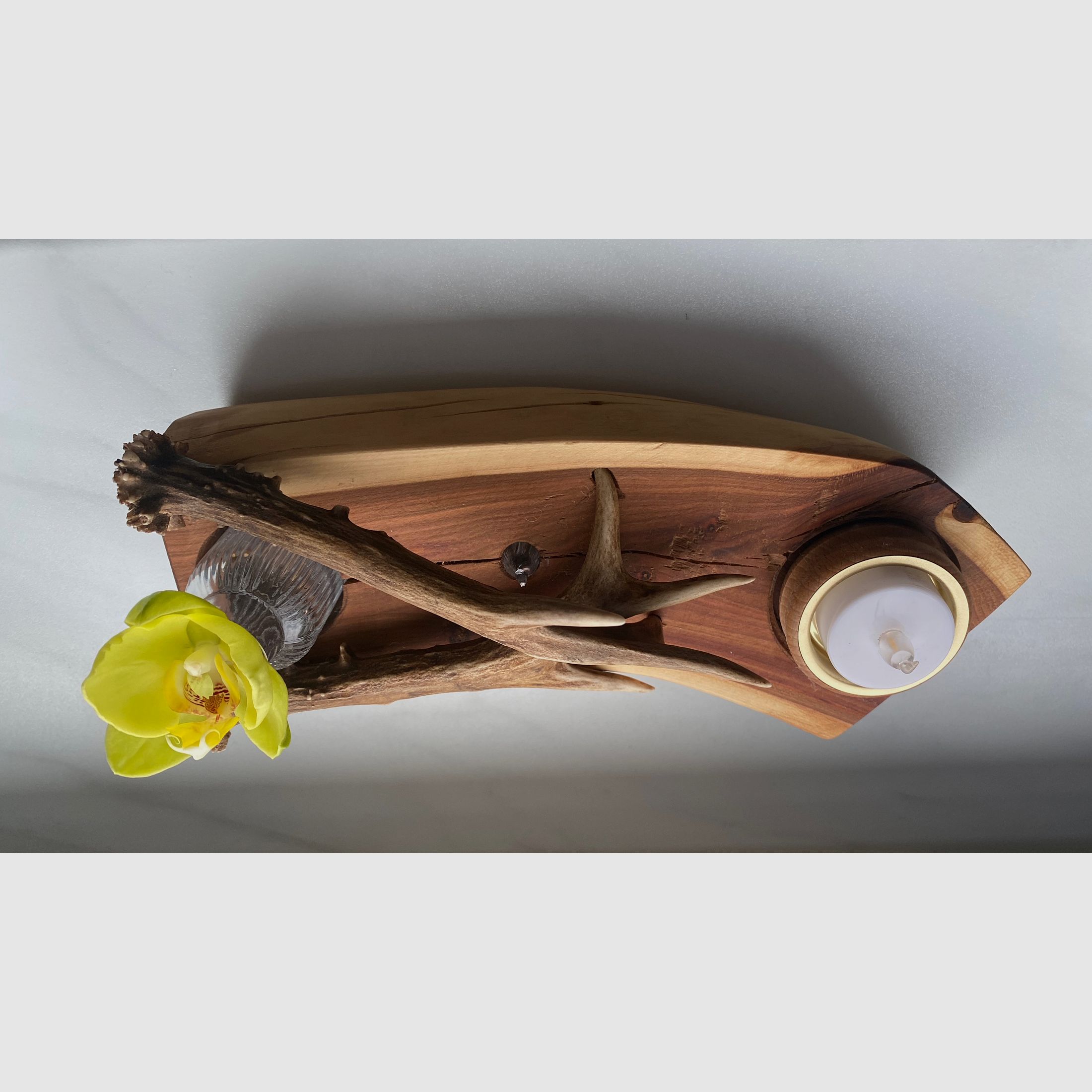 Tischdeko Deko Beleuchtung Vase Geweihstangen Holz