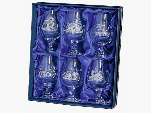 Fruitbrandewijn glazen – 200ml