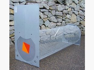 Lotin Unmounted Fox Trap