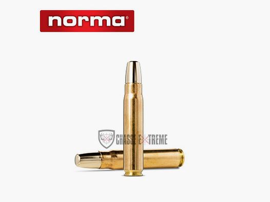 10 Munitions NORMA Solide Cal 500 Jeffrey 540gr