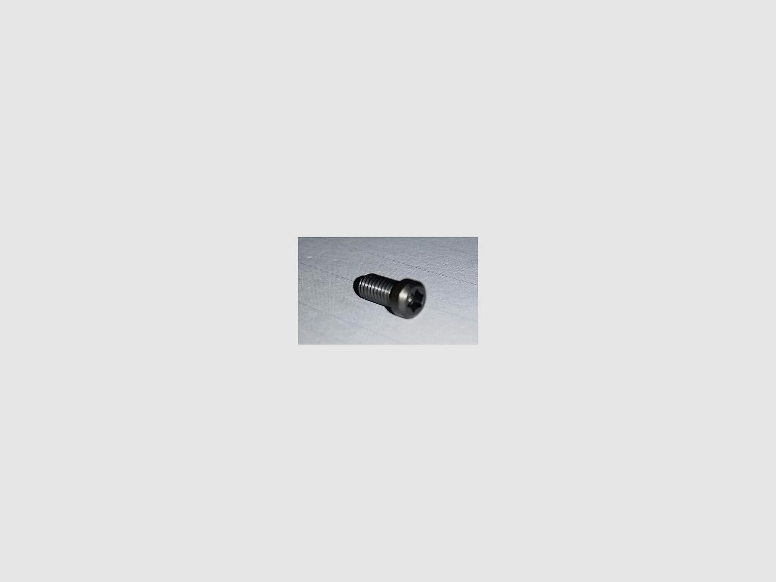 STEYR SCHRAUBE FÜR STEYR SCHWENKMONTAGE RINGE TORX, Bild 2 von 5