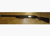 Winchester Ranger Mod.120